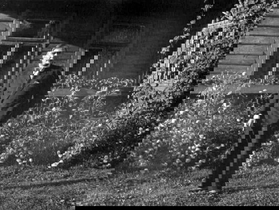 Hollandse Nieuwe! Forget this night, van Dain & Armstrong, deel 2: Szymanowski