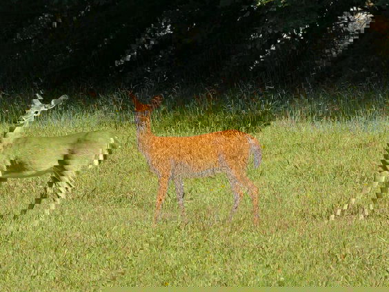 Kettingreactie 1 mei 2023