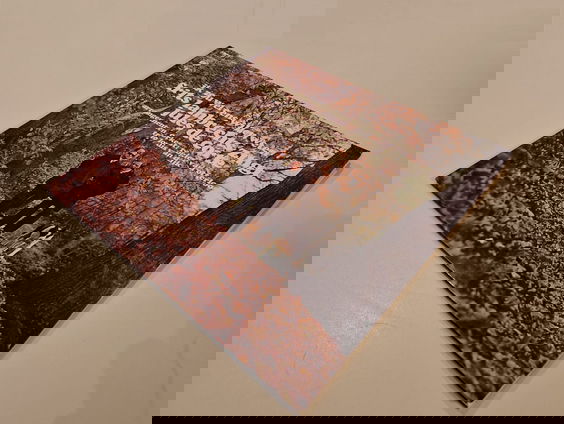 Plaatwerk #23: Frits Lambrechts zingt Jules de Corte