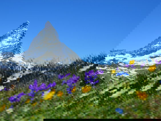 Lekkere Track: Moois na de eerste zin