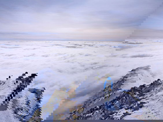 De dromenvanger, nr. 433: Duinpaadje