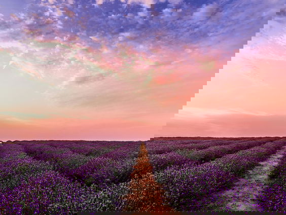 Lekkere Track: Walsen in de Provence