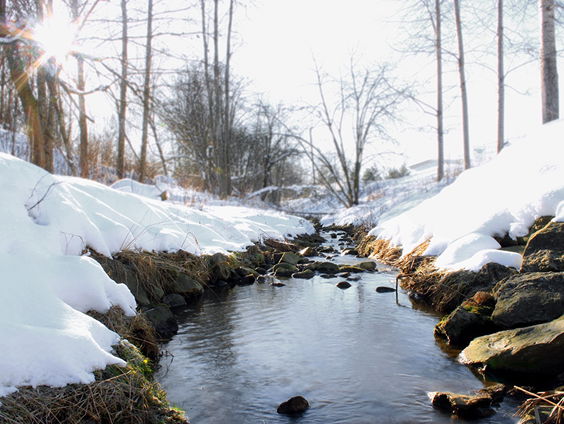 Hollandse Nieuwe! Winterreise van Wilmering & Boertien, deel II: water