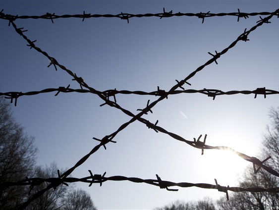 De Onbekende Kinderen van Kamp Westerbork: hoe 51 kinderen de kampen overleefde