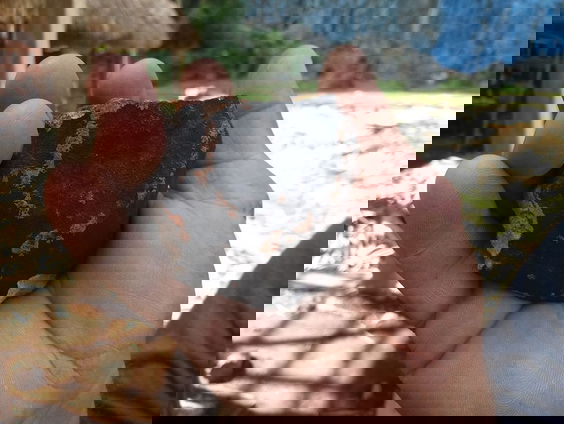 Gedicht: Steen van Leo Herberghs