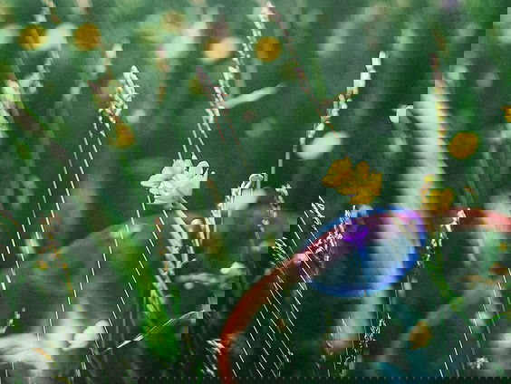 RadioReisDienst: Jane Austen roman