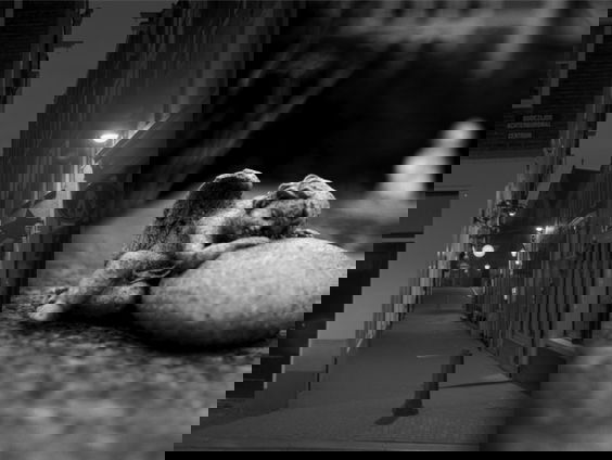 Het gesprek - Claire Felicie