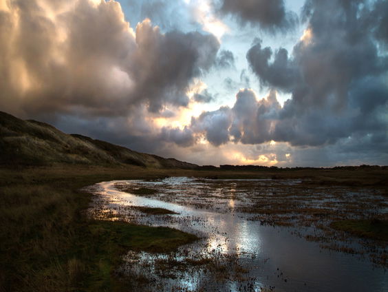 Het gesprek - Saskia Boelsums