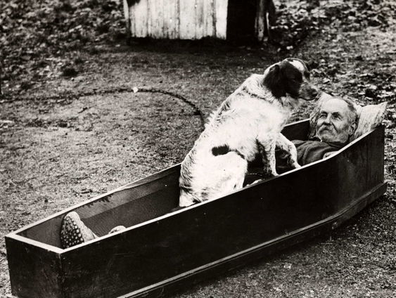 Gedicht: Aan meester timmerman Vasse