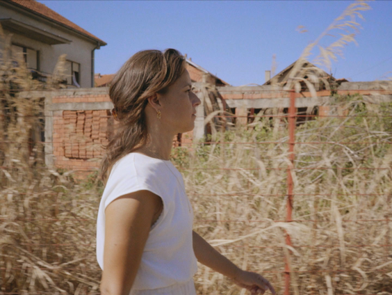 Het gesprek - Iva Bicanic