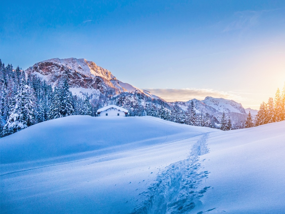 De dromenvanger, nr. 23: Plassen in de sneeuw