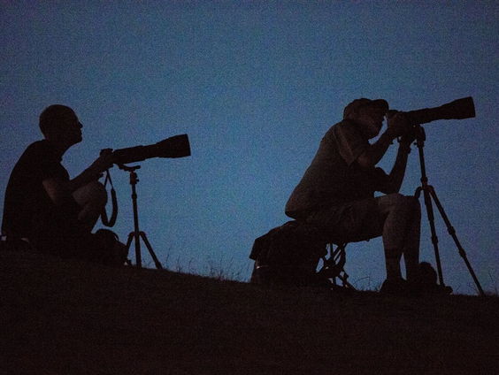 Margriet leest 'Foto' van Herman de Coninck