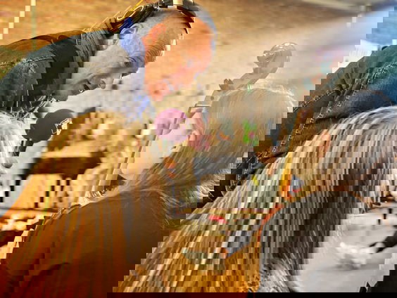 Lex Bohlmeier haalt een stemtip op op CBS De Wendakker in Zwolle