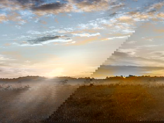 Kettingreactie 22 april 2022