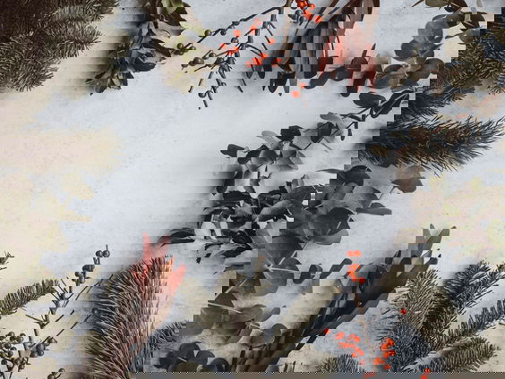 Amy's Schrijf van Vijf