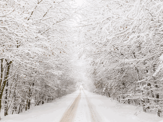 Gedicht: Er was sneeuw gevallen, van Louise Glück