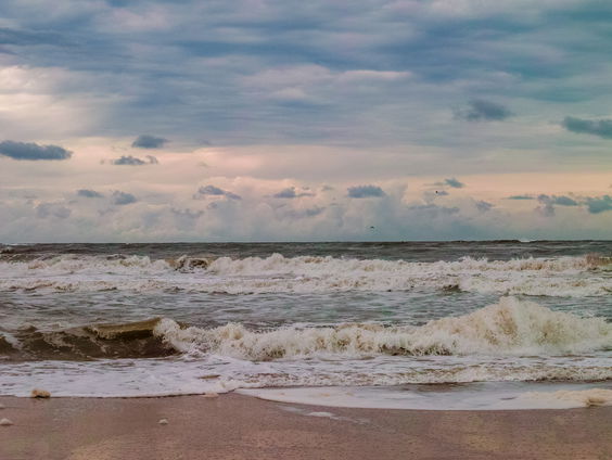 Lekkere Track: De mysterieuze maanvis