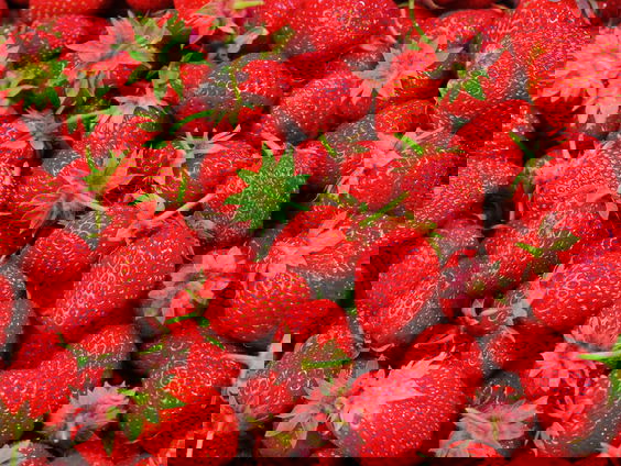 Amy's Schrijf van Vijf