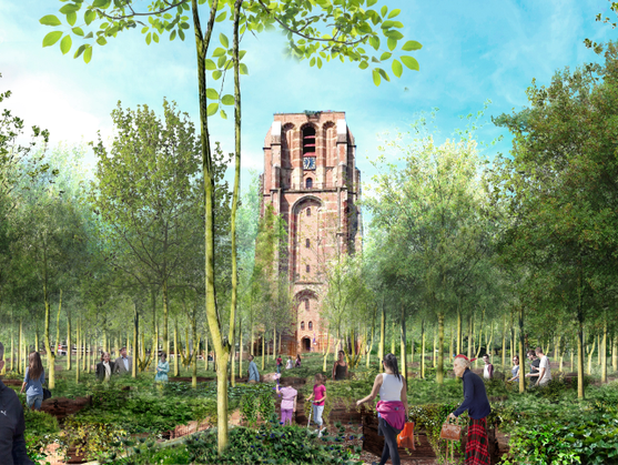 De debutant: Iris Dicke