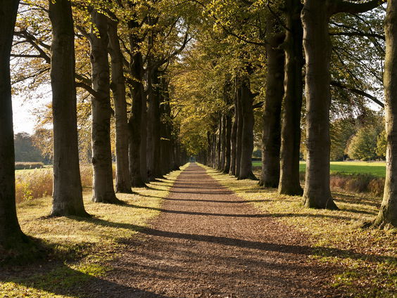 Gedicht: Een nieuwer jaar, van Lieke Marsman