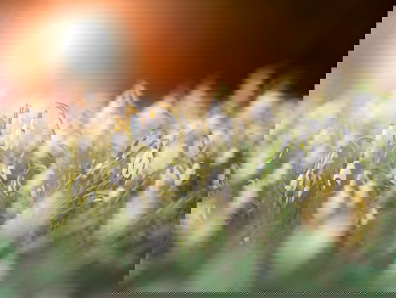 Lekkere Track: De hoopvolle lente