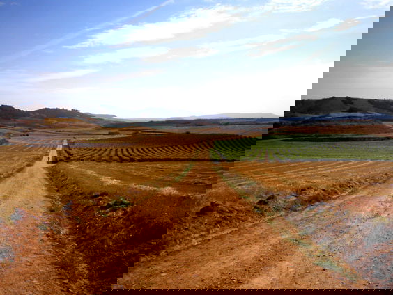 Hollandse Nieuwe! Pelgrim van Lotte Pen, deel 2: Wanderer