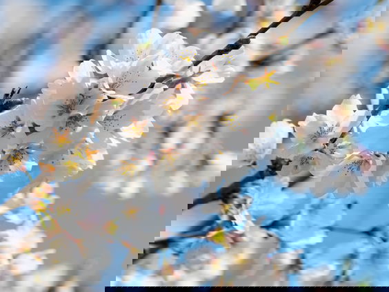 Lekkere Track: Lentekriebels