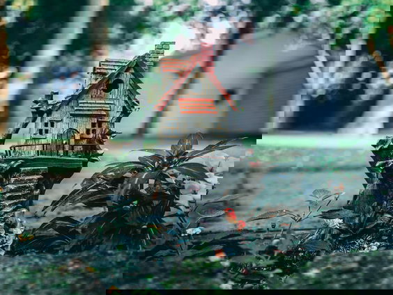 Lekkere Track: Een bijzondere middag