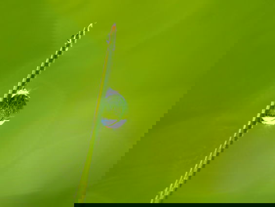 Lekkere Track: Hittegolf