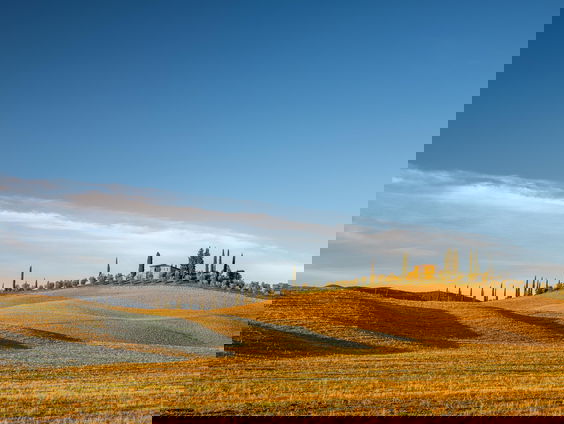 RadioReisDienst: Onderweg naar de Nederlandse opgraving