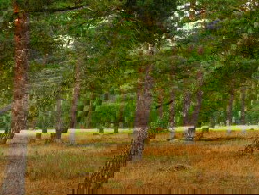 Gedicht: eindig de dag nooit met een vraag, van Dorien de Wit