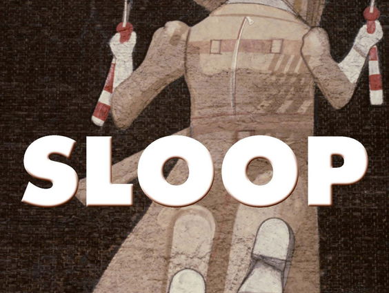 Boek van de week: Sloop