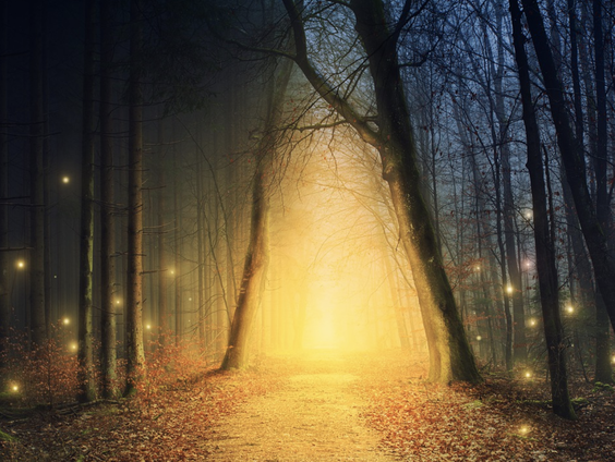 Kettingreactie 25 februari 2022