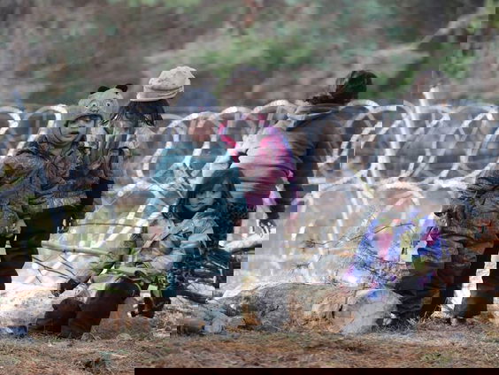 De dromenvanger, nr. 51: Op de vlucht