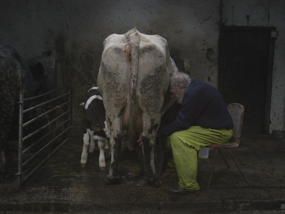 Het gesprek - Cindy Jansen (7 februari 2022)