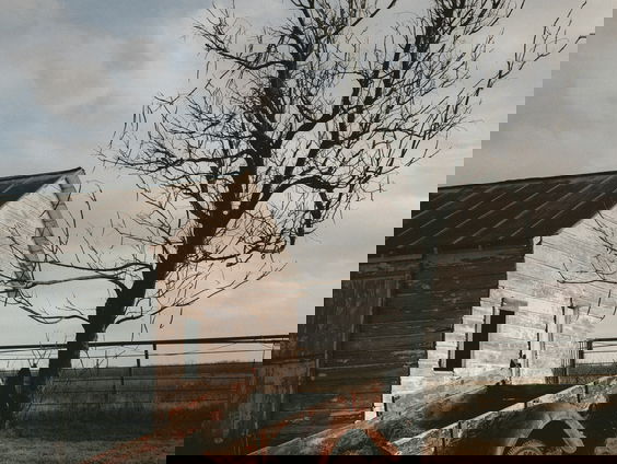 Amy's Schrijf van Vijf