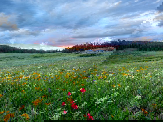 Kettingreactie 29 april 2024