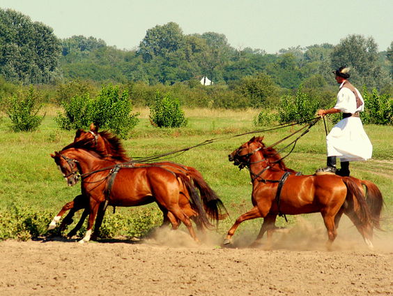 VakantieVoicemail #20: Jan Willem denkt met Bartók terug aan zijn eerste vakantie in Hongarije