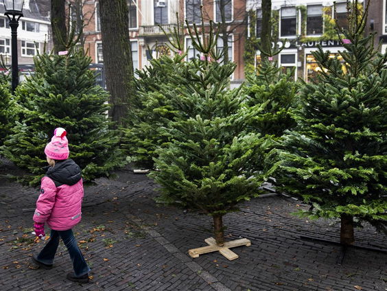 Kerststress ligt op de loer bij samengestelde gezinnen