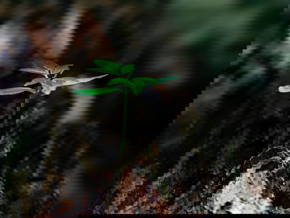 Lekkere Track: Leven