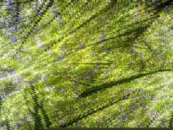 Mooi Moment: Mooie gesprekken