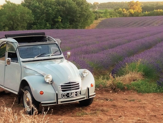 VakantieVoicemail #19: Bea reed met open dak door het Franse platteland