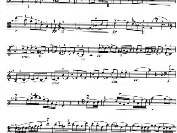 De dromenvanger, nr. 192: "Arpeggione"