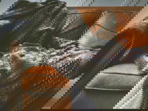 Amy's Schrijf van Vijf