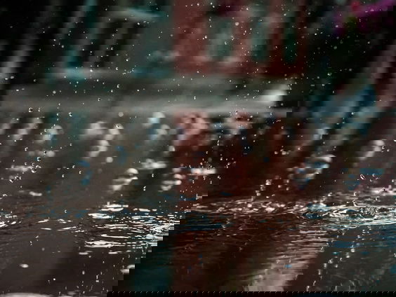 Stemtip 5: Vladimir Cosma - Diva