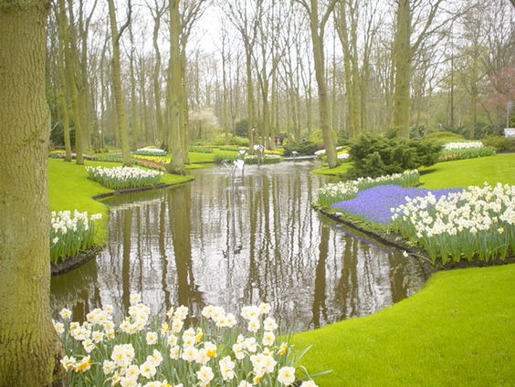 Kettingreactie 15 februari 2022