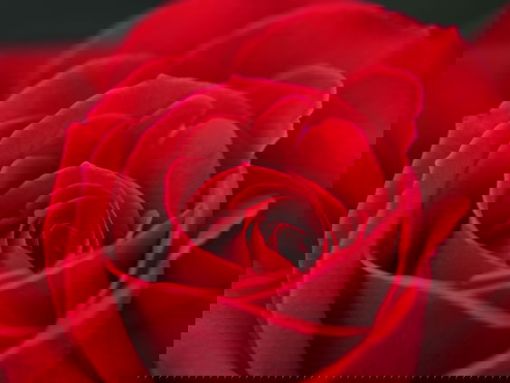 Lekkere Track: Romantiek