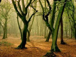 Gedicht: Rafels van Jan Eijkelboom