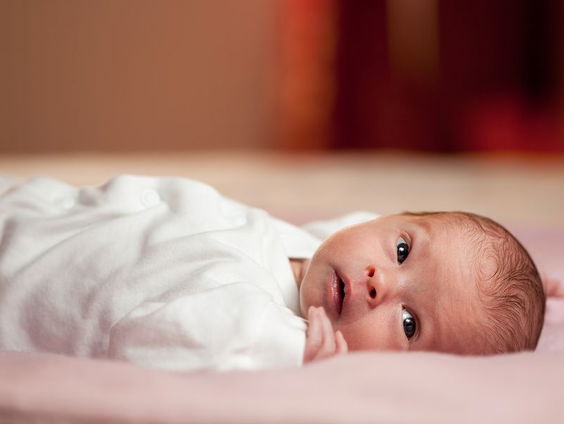 Gedicht: De Geluiden, van Paul Meeuws