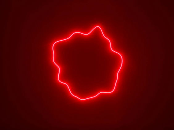 Het gesprek - kunsthistoricus en curator Sanneke Huisman